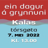 Kalas - Ein dagur á grynnuni